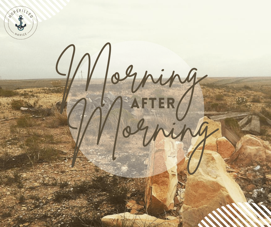 Morning after Morning